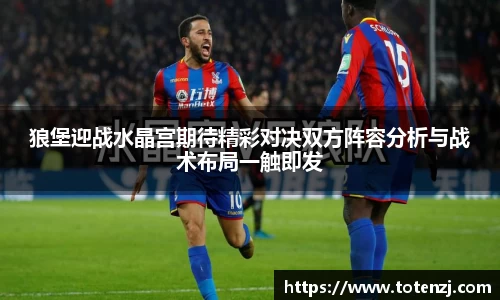狼堡迎战水晶宫期待精彩对决双方阵容分析与战术布局一触即发