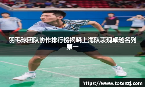 羽毛球团队协作排行榜揭晓上海队表现卓越名列第一